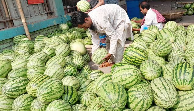 কেজি দরে তরমুজ বিক্রি, নিরুপায় ক্রেতারা