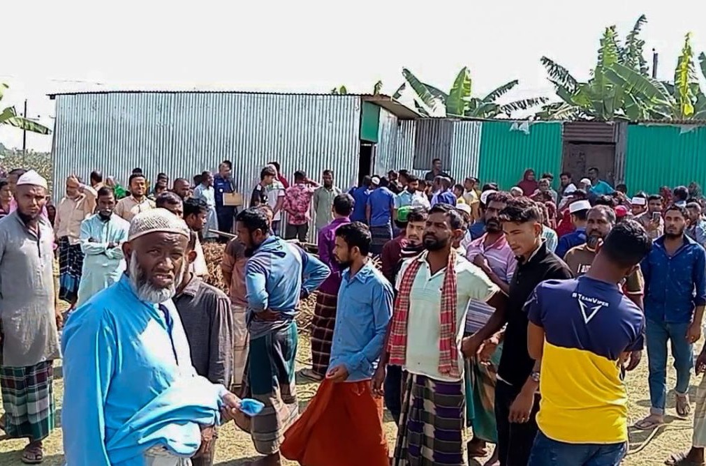 নেত্রকোনায় পাহারাদারকে হত্যা, ৭ গরু লুট