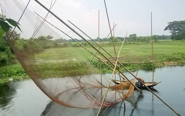 প্রকৃতিতে নান্দনিক সৌন্ধর্য নিয়ে এলো বর্ষা
