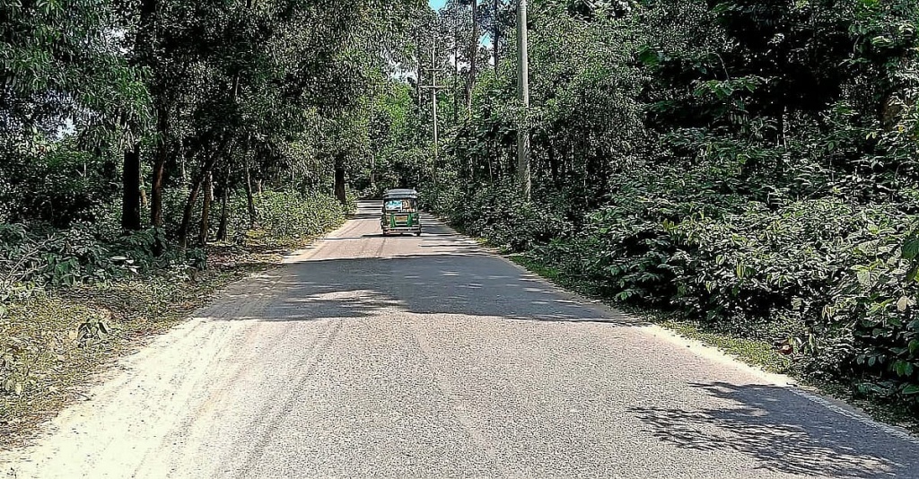 নিরাপত্তাহীনতায় স্থবির জনজীবন: সন্ধ্যা নামলেই পথচারীশূন্য সড়ক