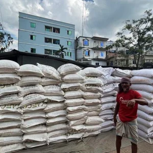 জোরারগঞ্জে ড্রাম ট্রাকে সার পাচারের চেষ্টা: ৩০১ বস্তা সারসহ আটক ৮